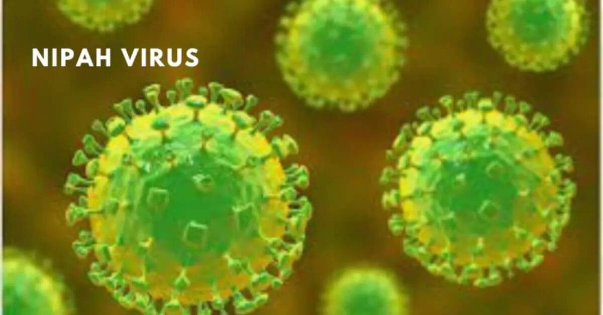 Nipah virus