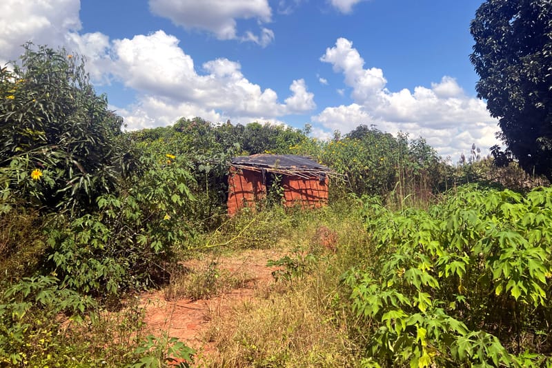 A home in kalusale where residents were affected by the toxic spill by a chinese mining company