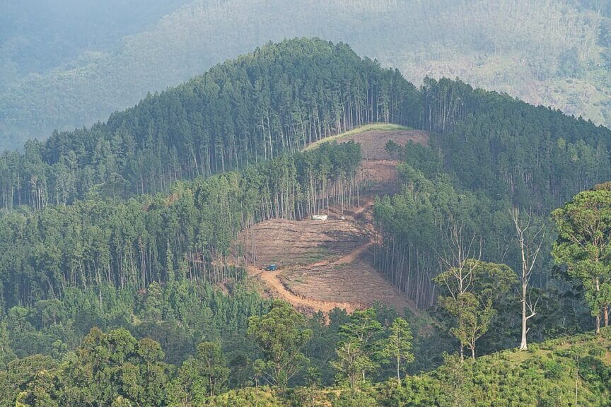 View from little adam's peak in ella, sri lanka