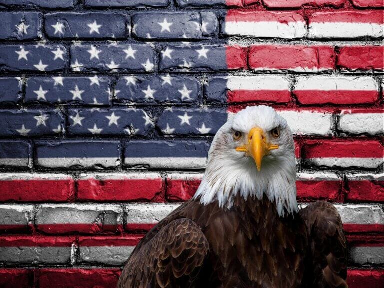 American flag painted on a brick wall and a bald eagle in front of it.