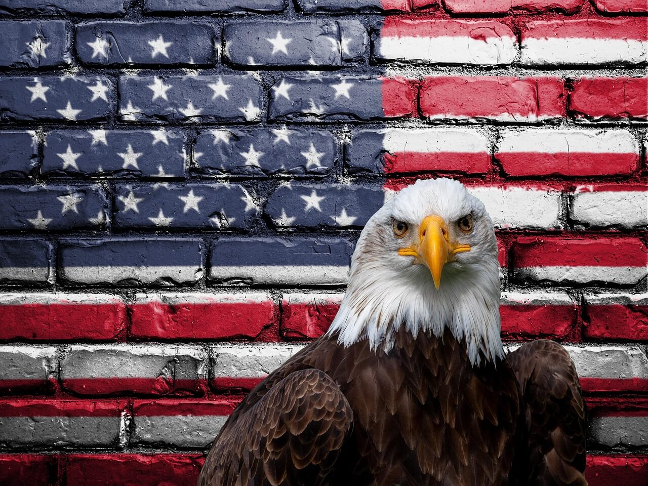 American flag painted on a brick wall and a bald eagle in front of it.