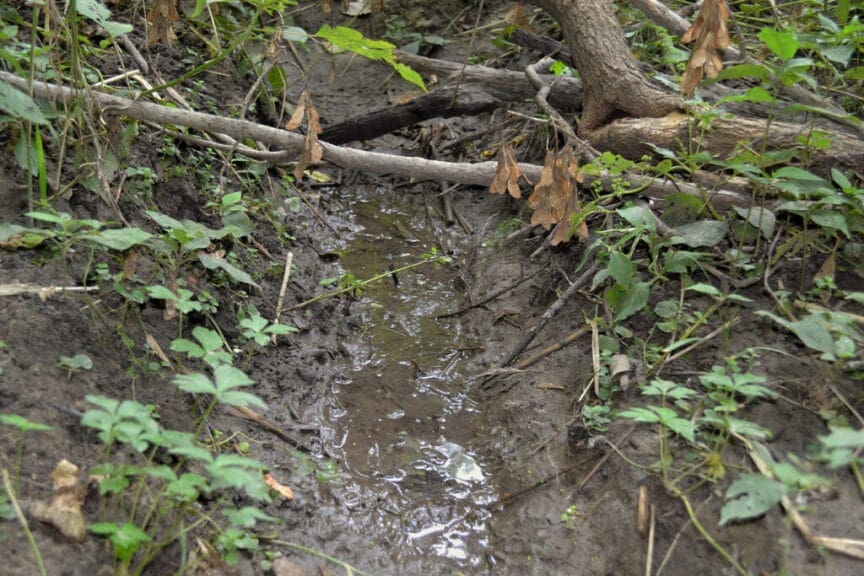 stream in woods iowa Stream that feeds into beaver creek is seen following rainfall. Under proposed amendments to the clean water act