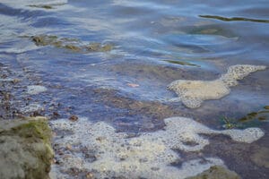 water in iowa1 Clean water act affects rivers and streams in iowa