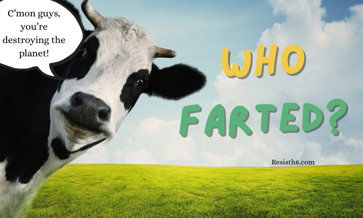 Cow asking who farted? Cop30