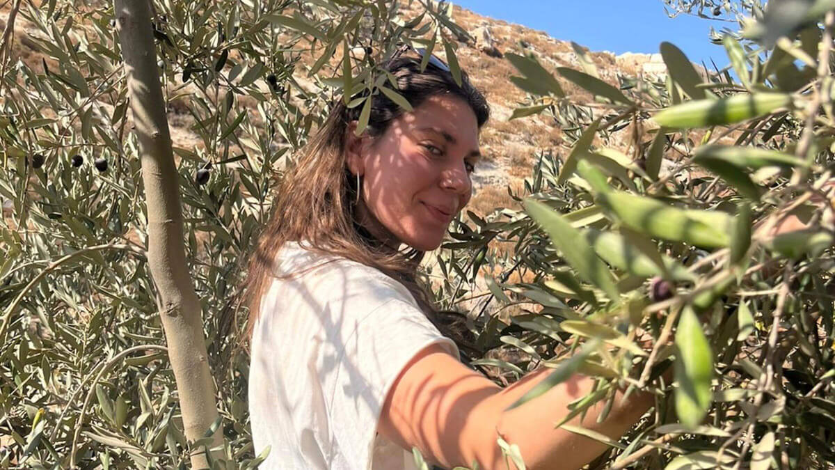 Woman picking olives