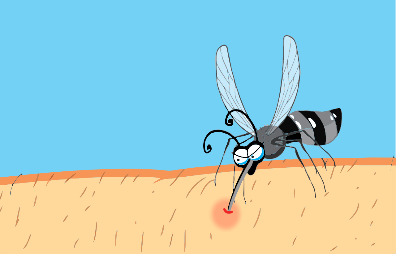 Malaria mosquito cartoon