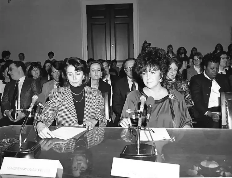 pelosi taylor Pelosi (left) and elizabeth taylor (right) testify before a congressional committee.