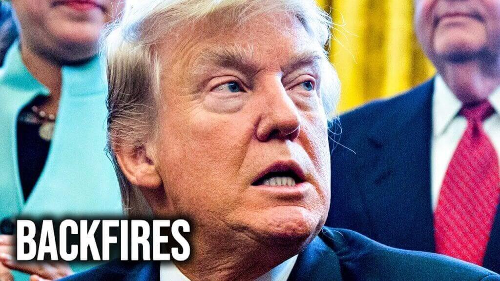 MAGA isn't happy about the comments Trump made about H1b visas.