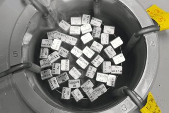 Frozen coral larvae samples