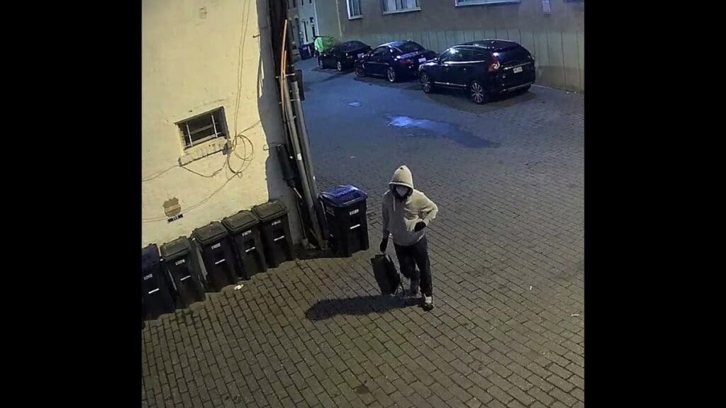 Alexus pittman, staff writer