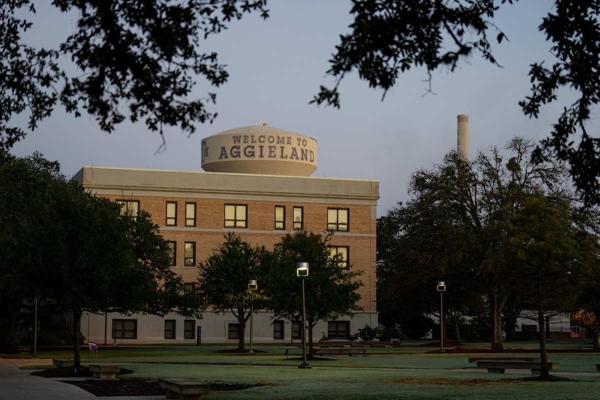 Texas a&m university