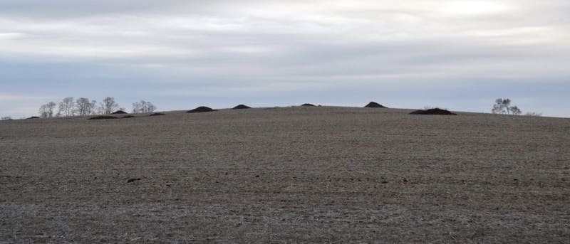 Farmer’s field covered in manure