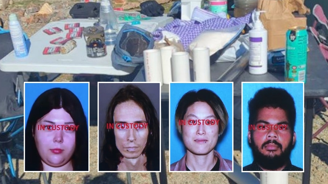 New year's eve bombing plot arrests