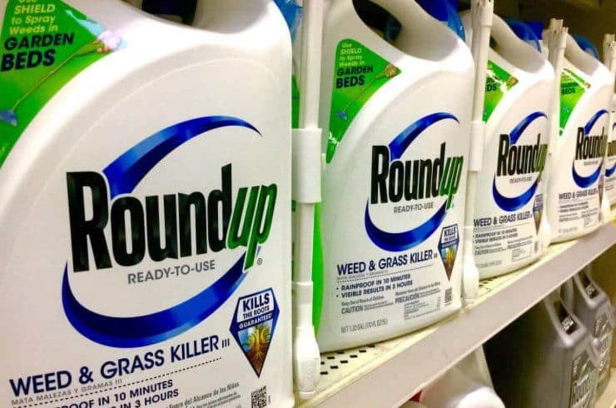Roundup on a store shelf