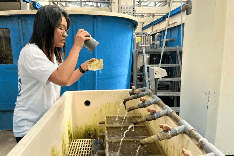Scientist in lab studying coral reefs