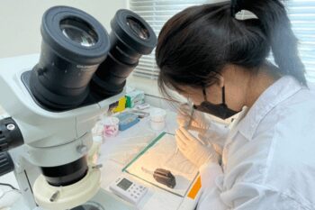 Scientist working with coral larvae