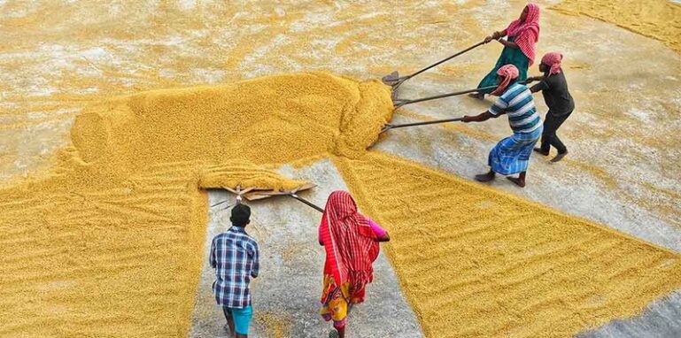 Farmers crop losses in india