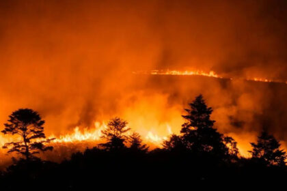 World on track to breach 1. 5 degree target by 2030