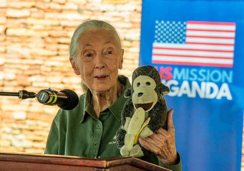 Jane goodall visits united states mission uganda