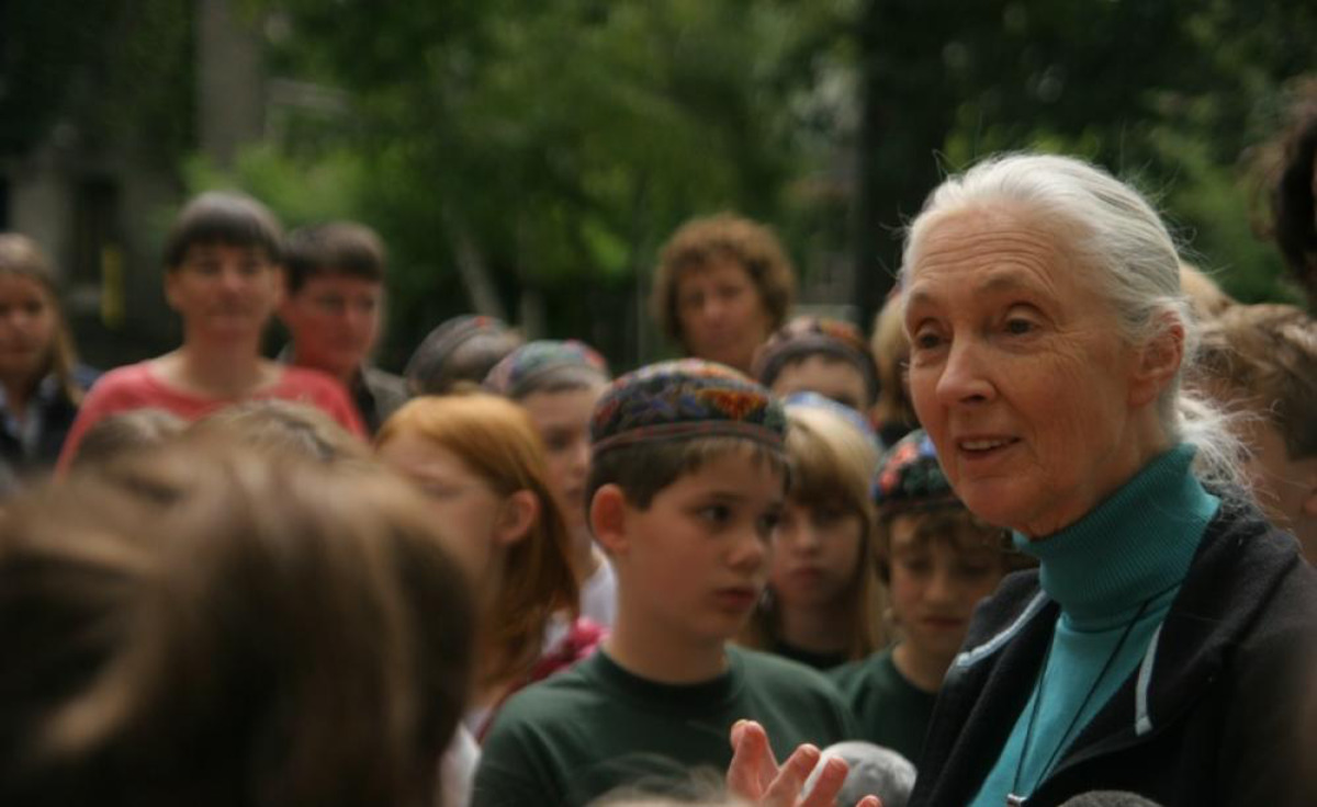 Jane goodall surrounded by children