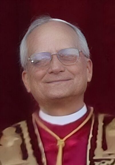 Catholic cardinals referenced the words of pope leo xiv