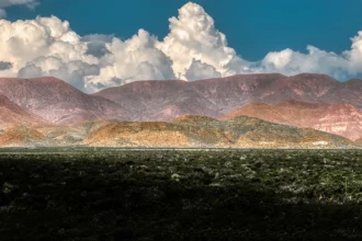 Big bend national park in texas