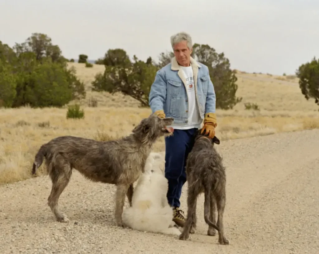 Epstein and dogs at zorro ranch