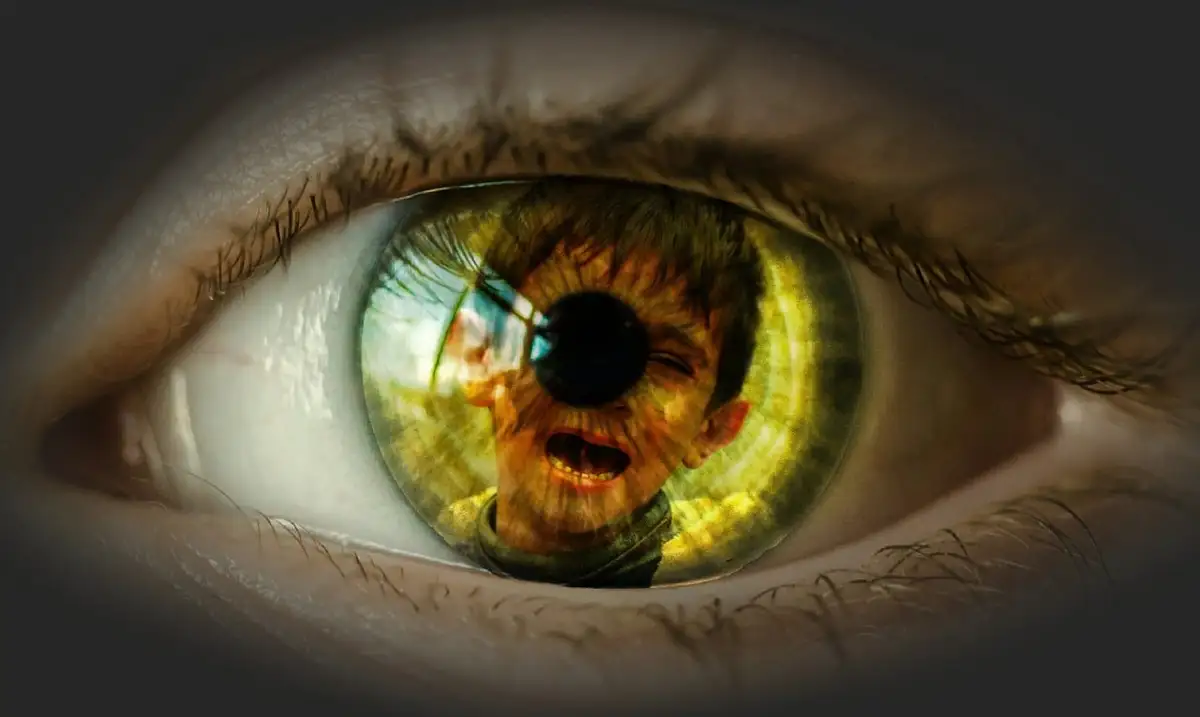 Mass deportation cruelty. An eye with a crying child reflected in it.