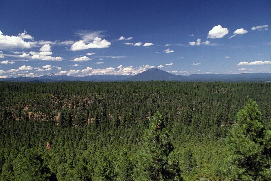 Deschutes National Forest Oregon Cascades