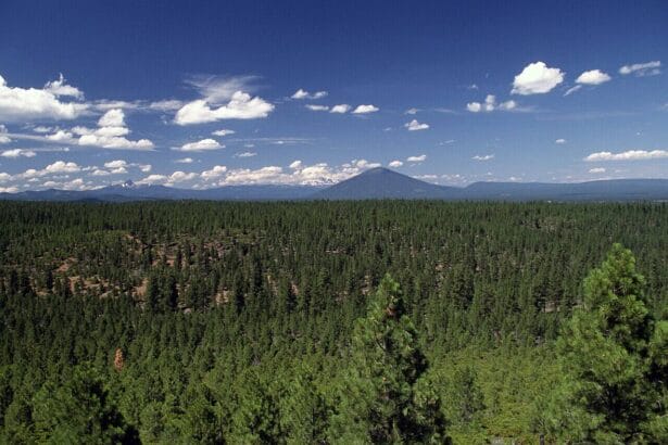 Deschutes National Forest Oregon Cascades