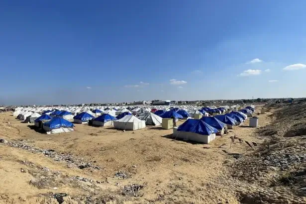 Rats are biting babies in Gaza Displacement camps