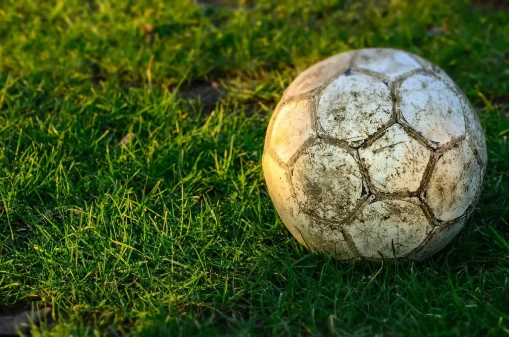 FIFA World Cup disaster. A muddy soccer ball in the grass
