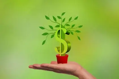 Plant made out of a dollar sign represents progressive economic populism