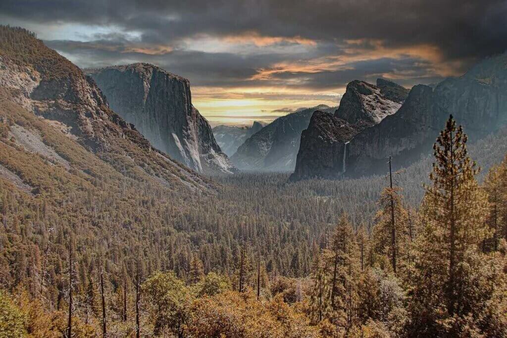 Yosemite National Park forest at sunset