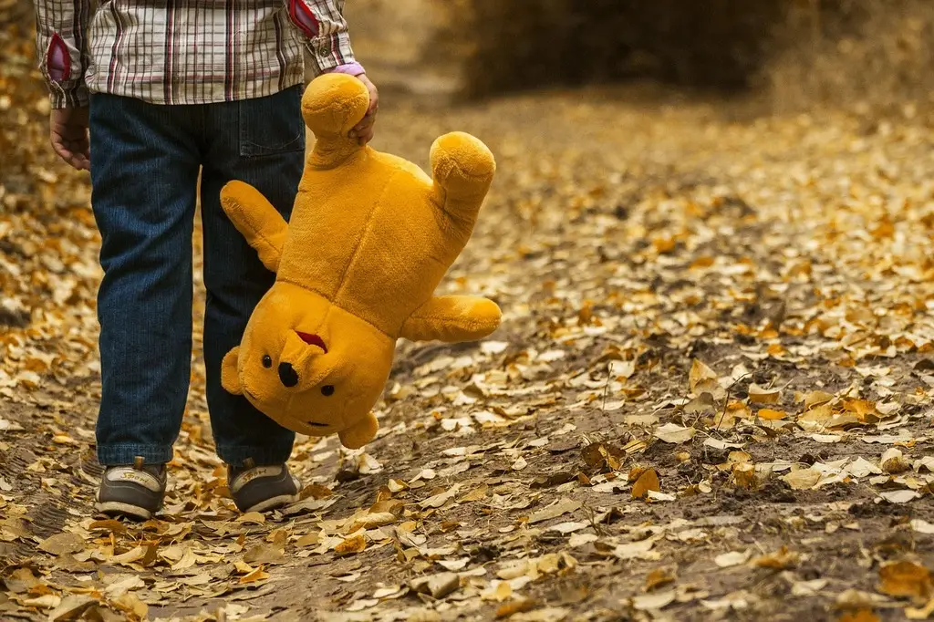 Legs of a child carrying a teddy bear, walking through fall leaves. Indicating CSAM, or child sexual abuse material